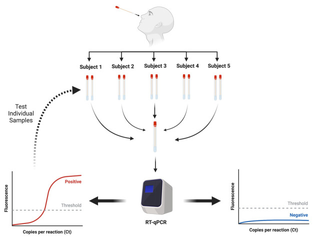 Figure 1.