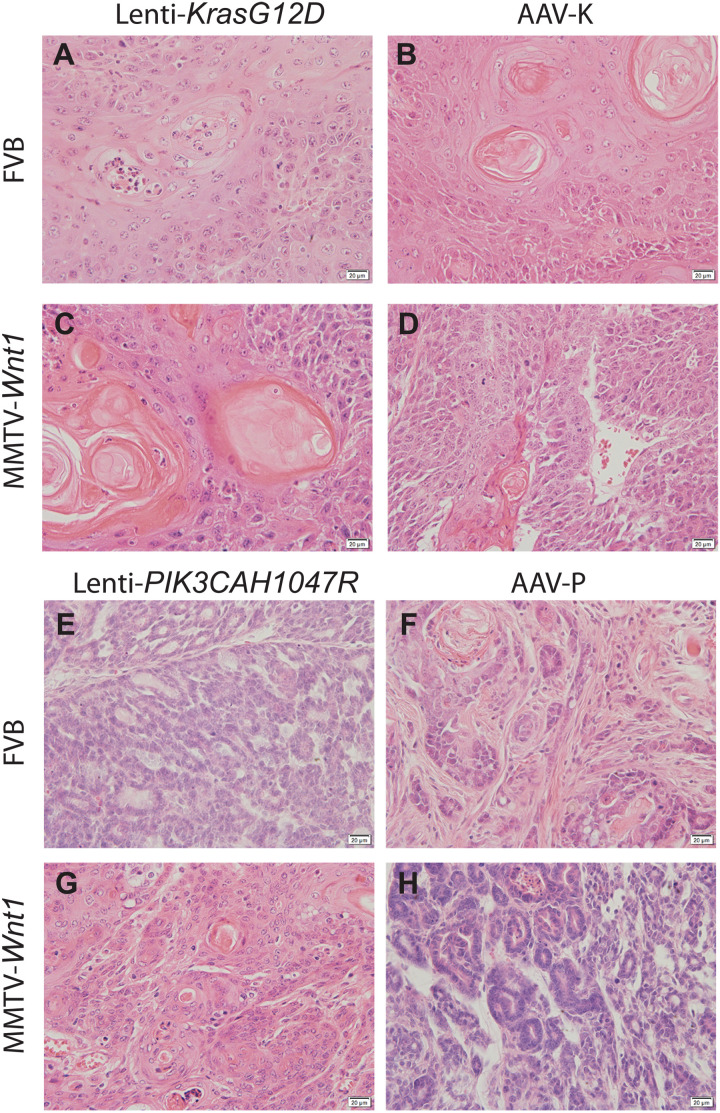 Fig. 3.