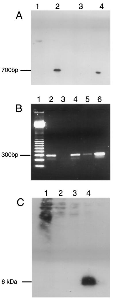 FIG. 6