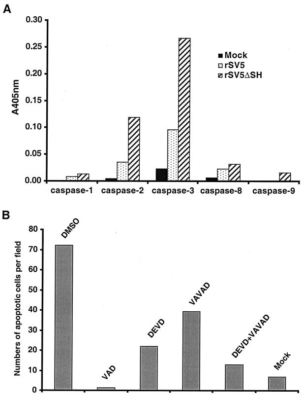 FIG. 7