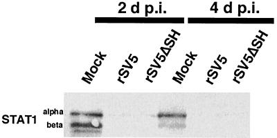 FIG. 8