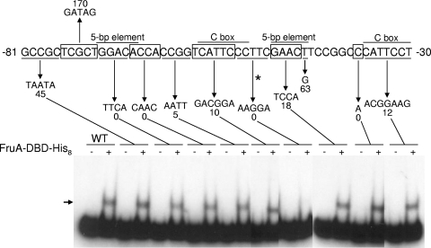 FIG. 7.