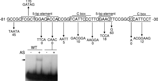 FIG. 1.