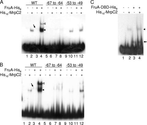 FIG. 8.