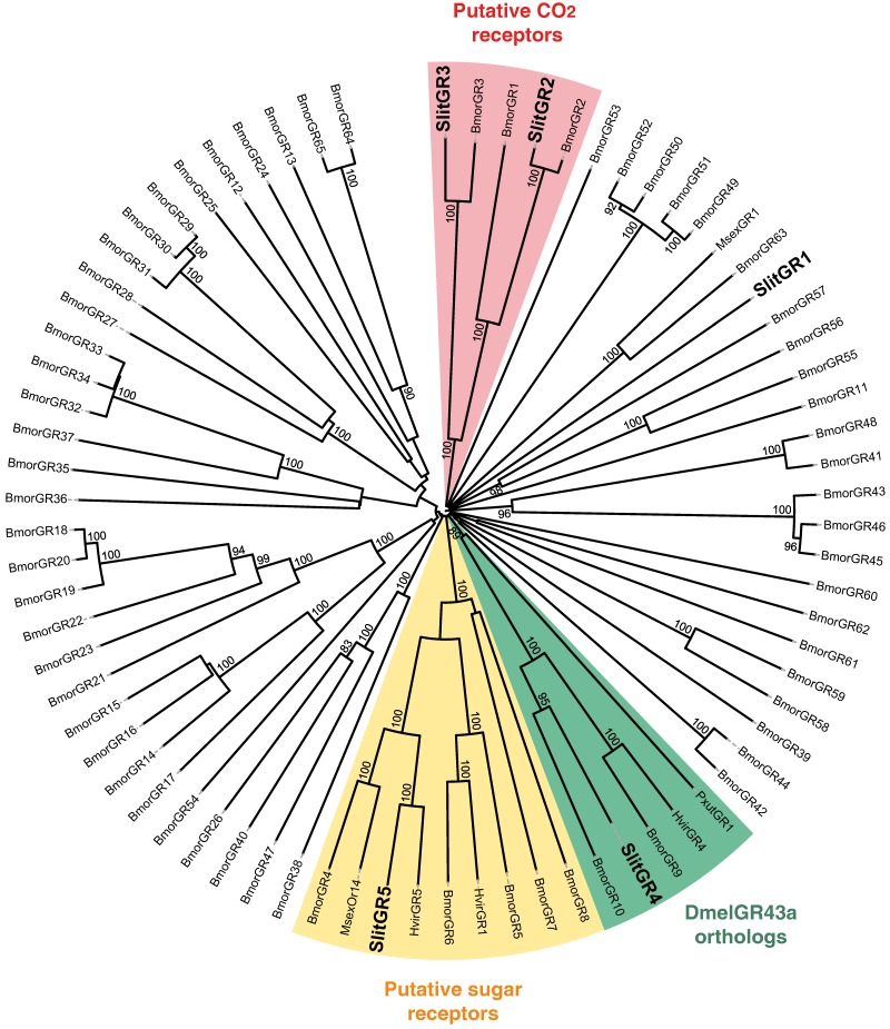 Figure 4