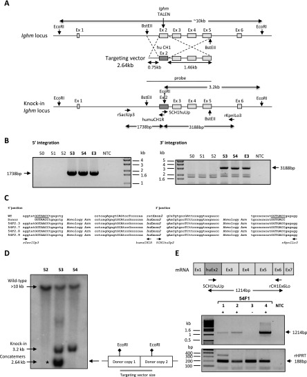 Figure 4.