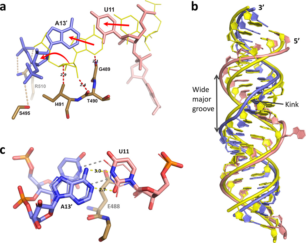 Figure 4