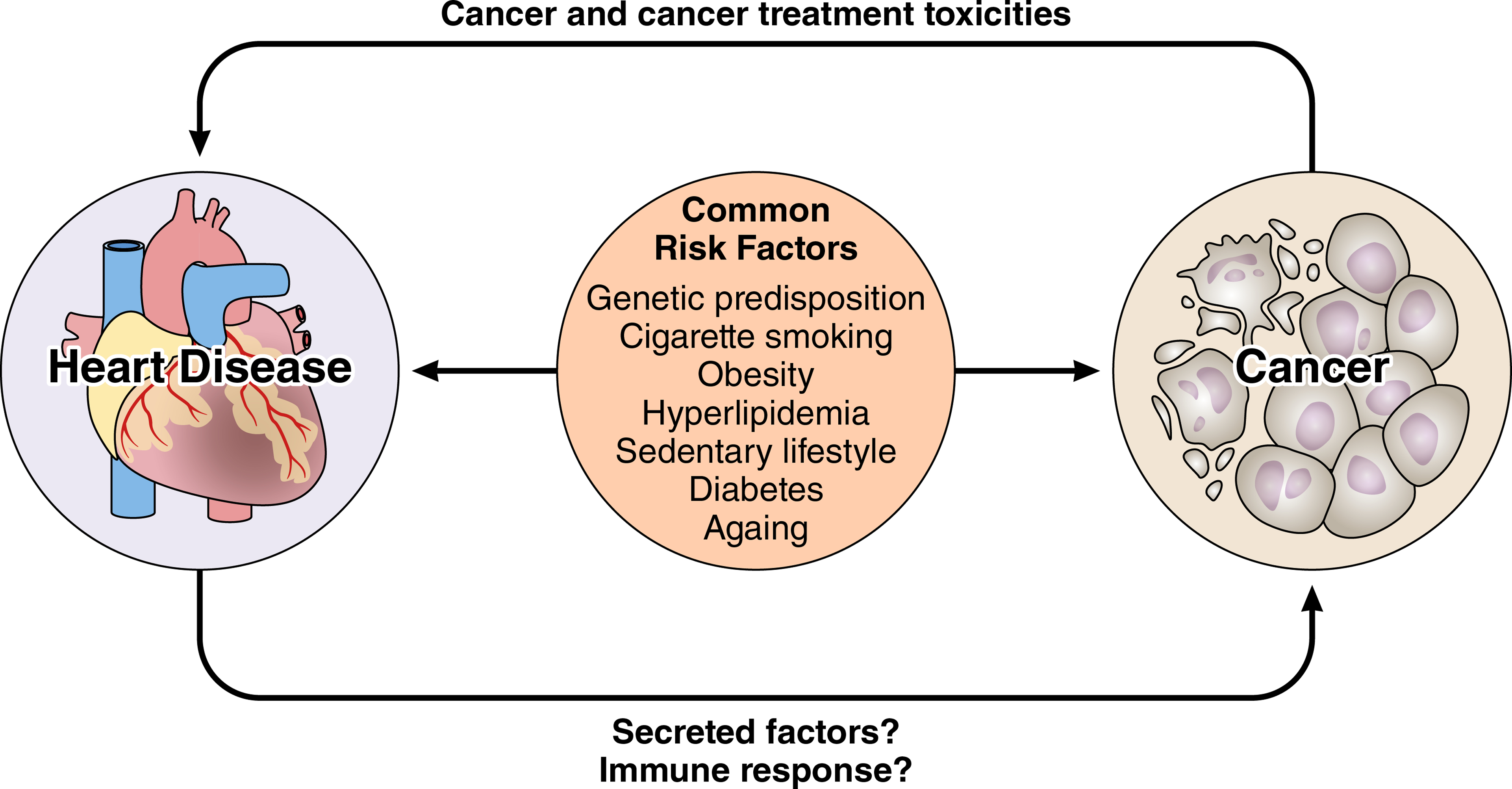 The world of cardio-oncology.