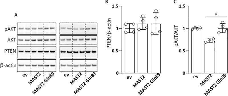 Fig 7