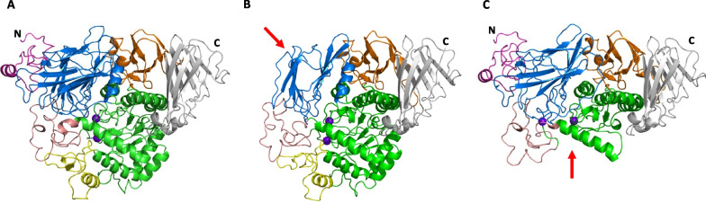 Fig. 2