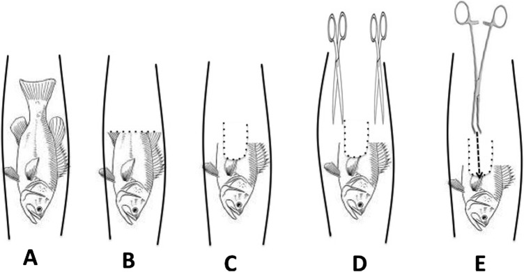 Figure 3