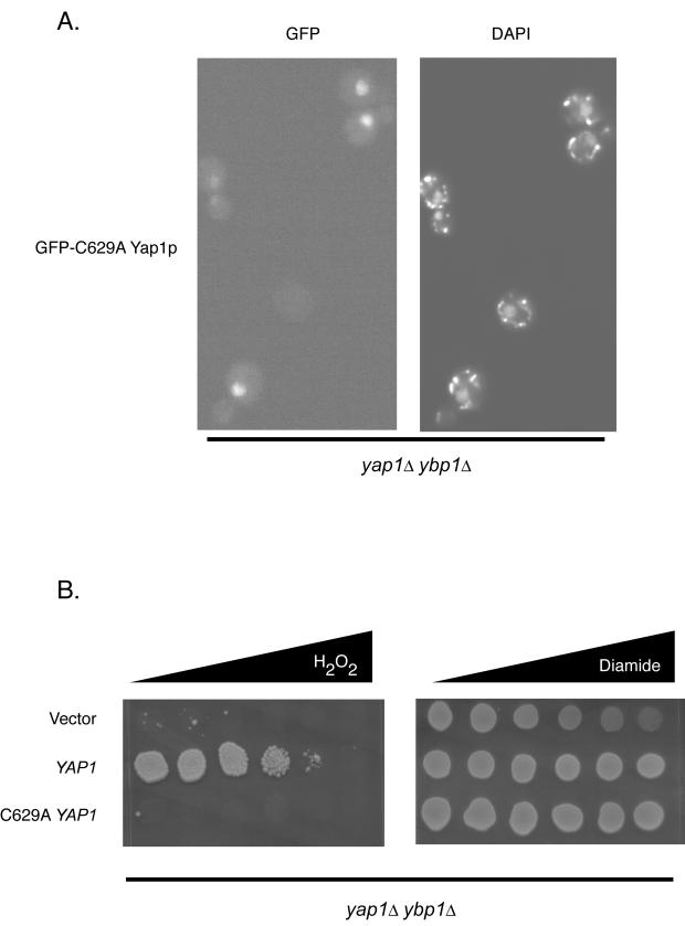 FIG. 9.