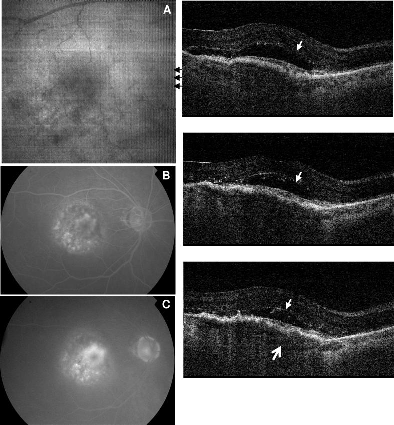 Fig. 7