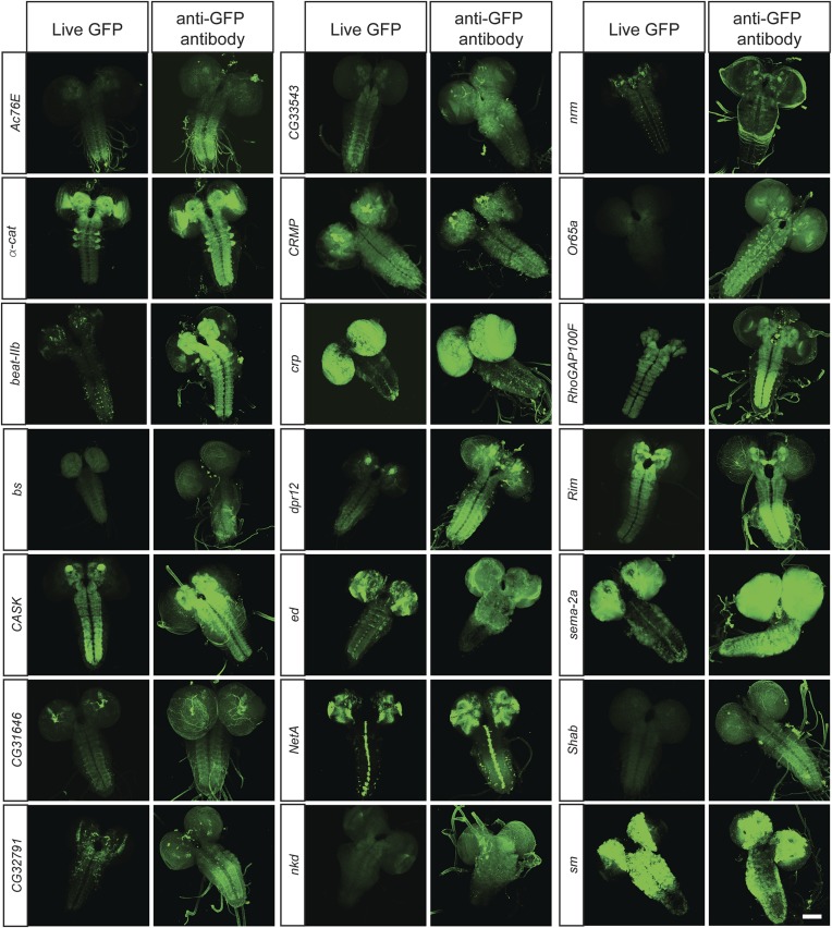 Figure 3.