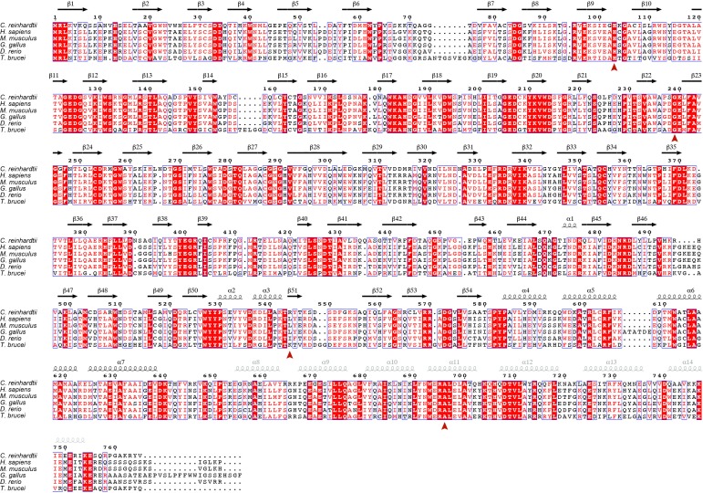 Figure 2—figure supplement 1.