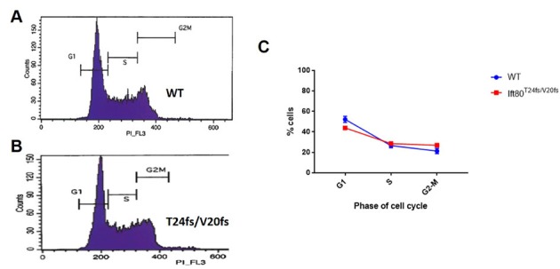 Figure 7—figure supplement 5.