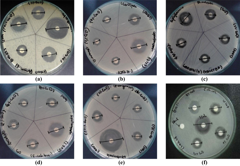 Figure 7