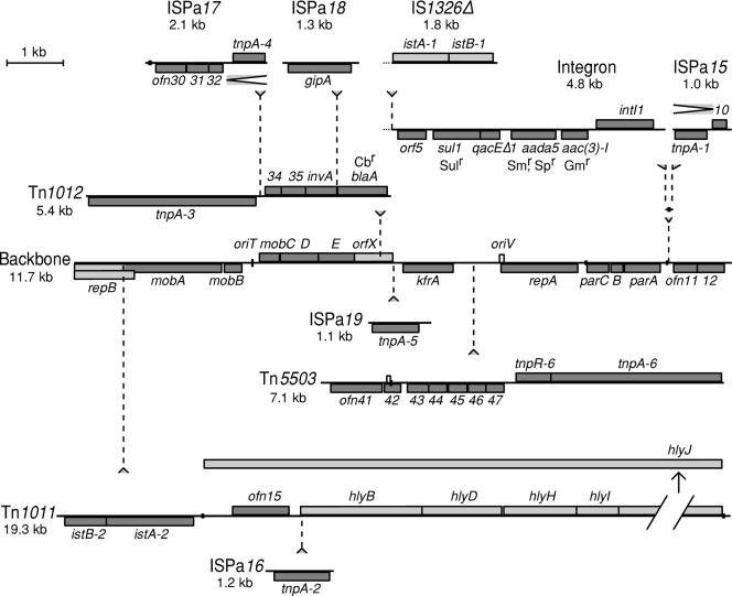 FIG. 2.