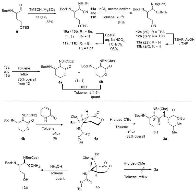 Scheme 2