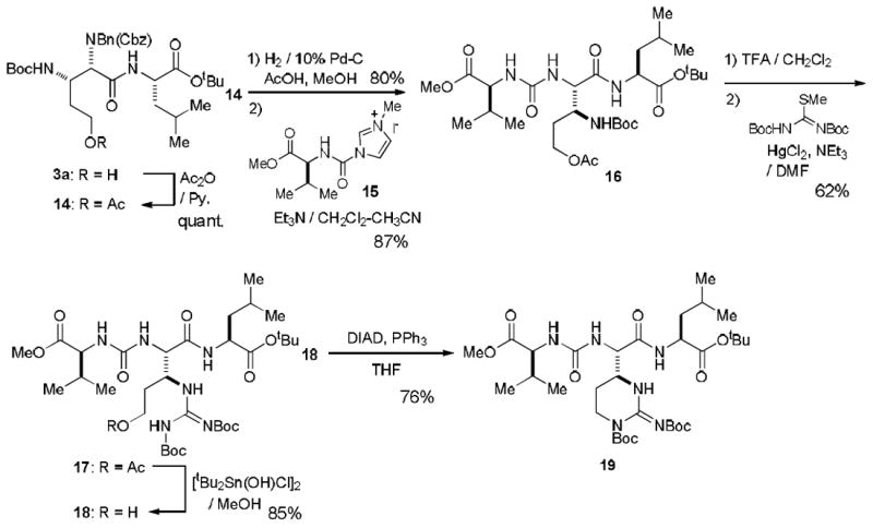 Scheme 3