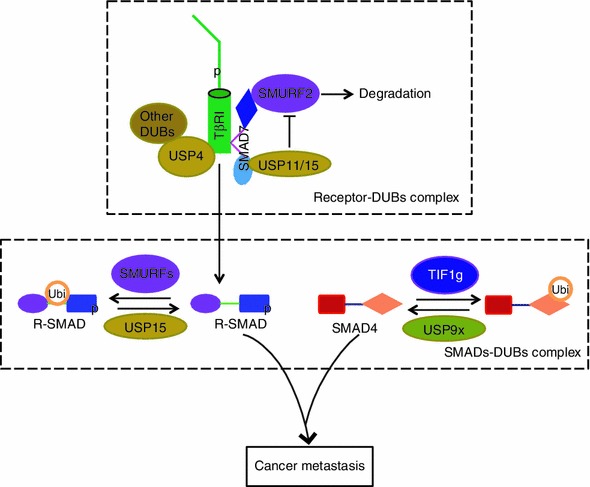 Figure 5