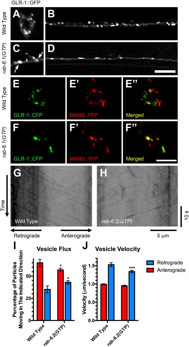 Fig 6