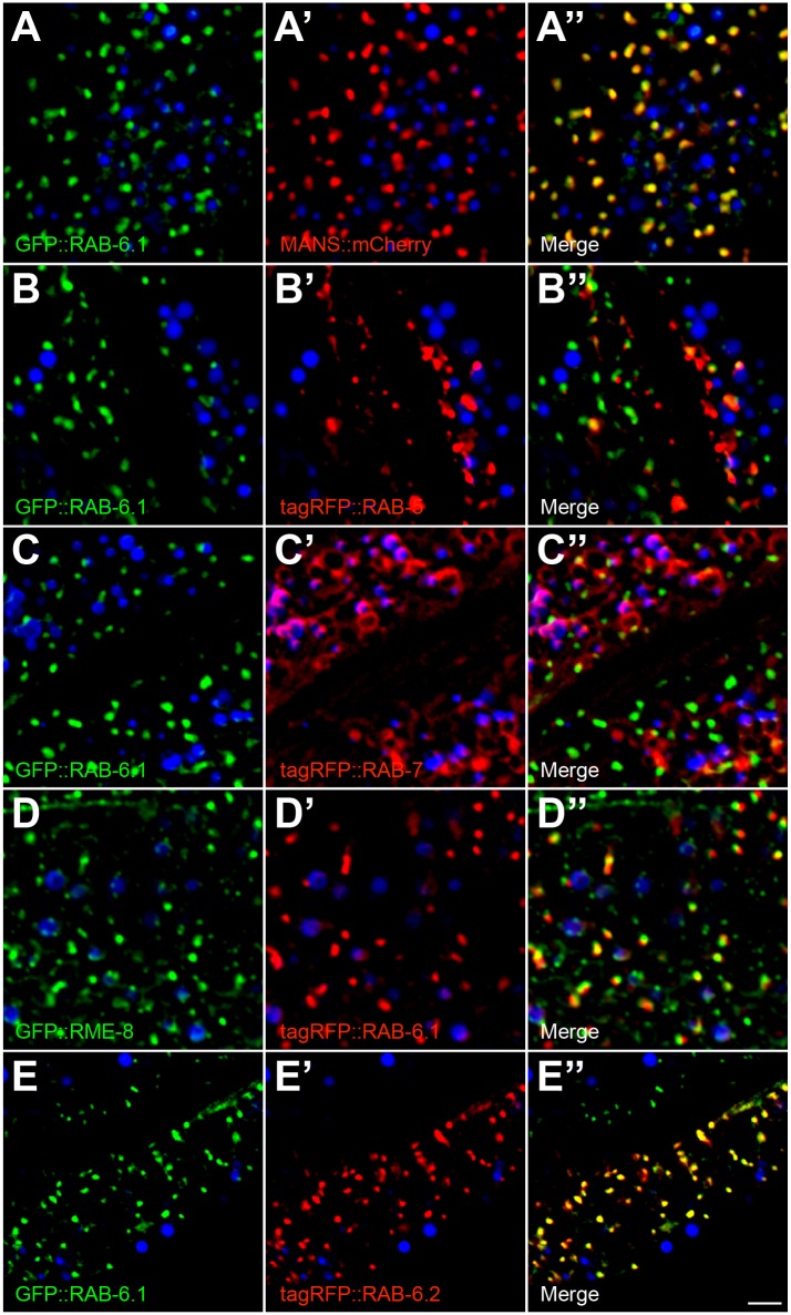 Fig 12