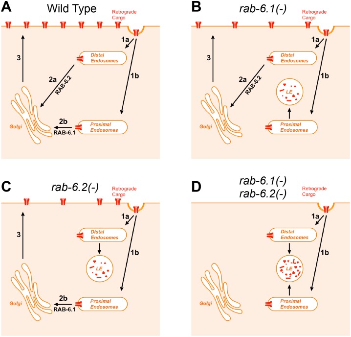 Fig 13