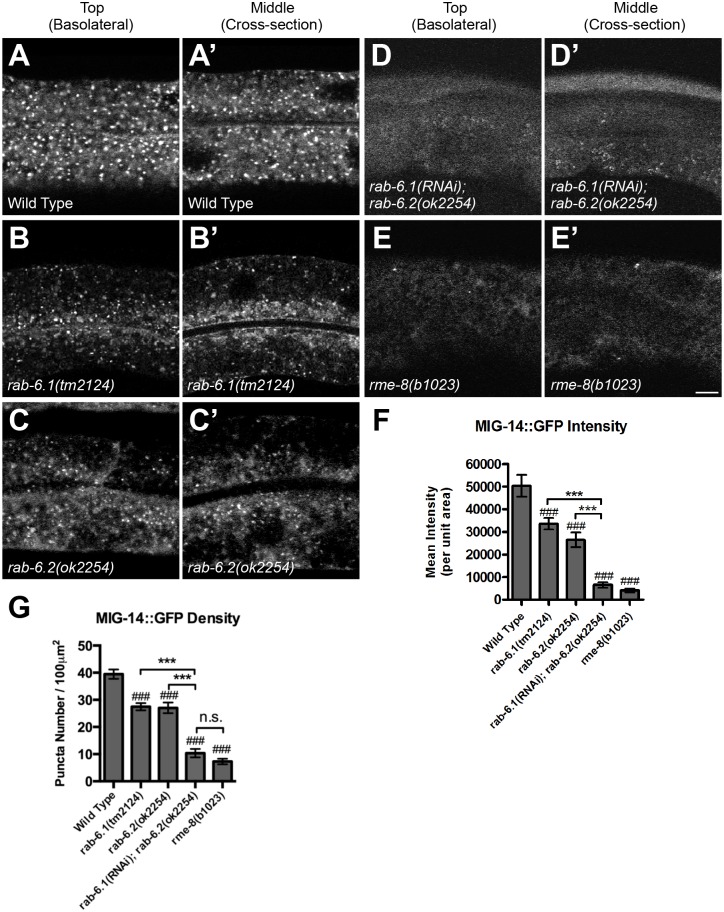 Fig 8