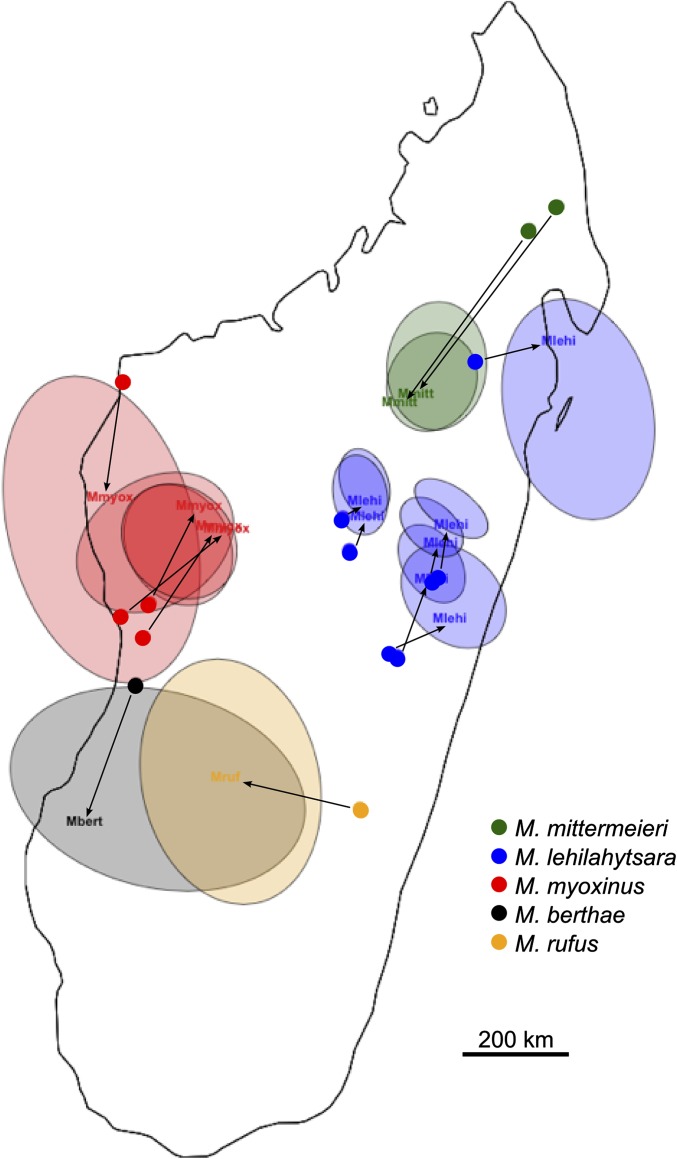 Fig. 6.