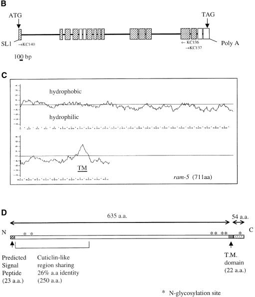 graphic file with name cdd360f6b.jpg