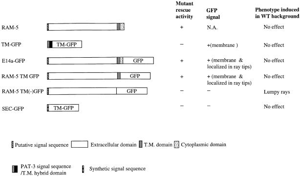 graphic file with name cdd360f10.jpg