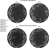 Fig 5