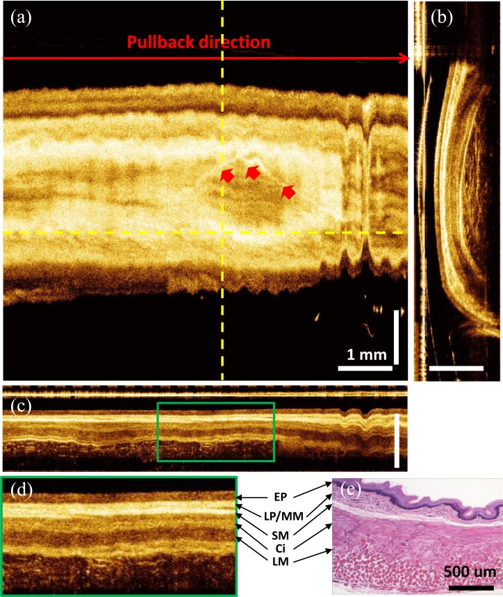 Fig. 6