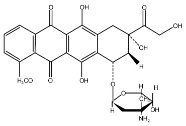 graphic file with name cells-07-00024-i004.jpg