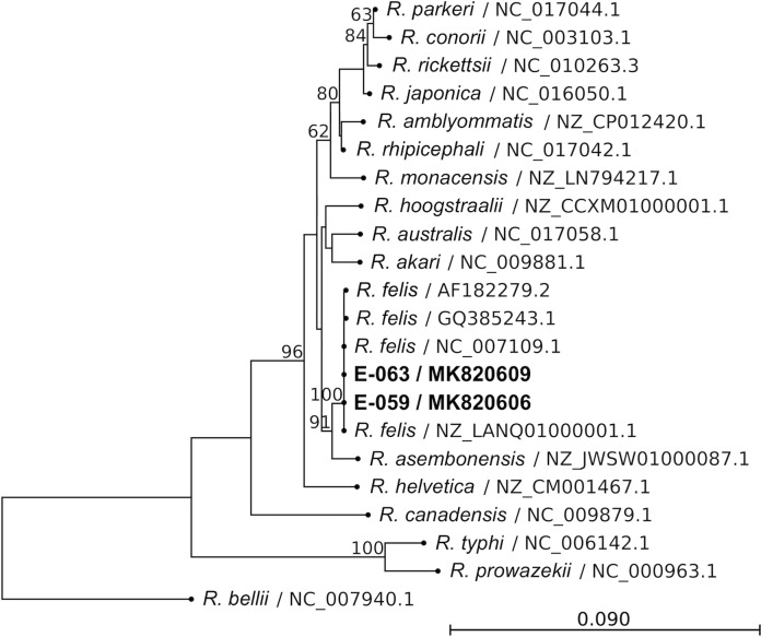 Fig 2