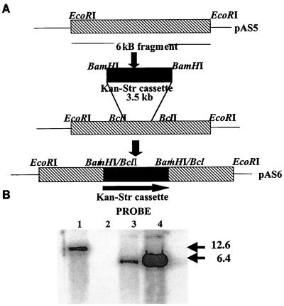 FIG. 1