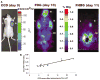 FIG. 3