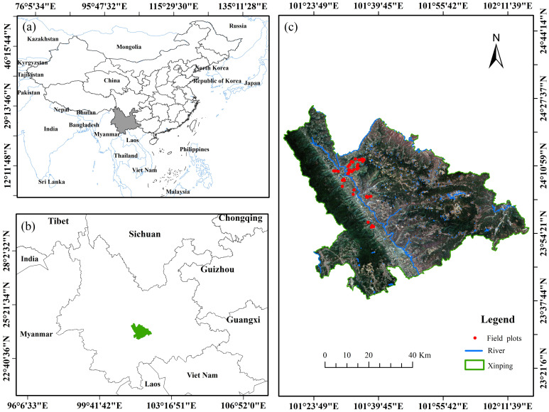 Figure 1