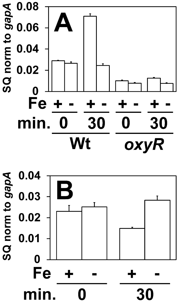 Fig 8