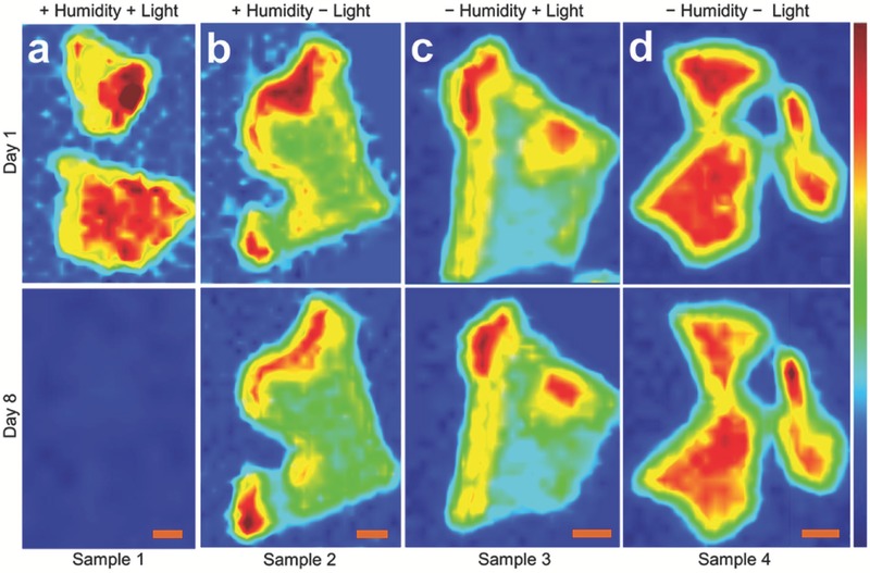 Figure 13