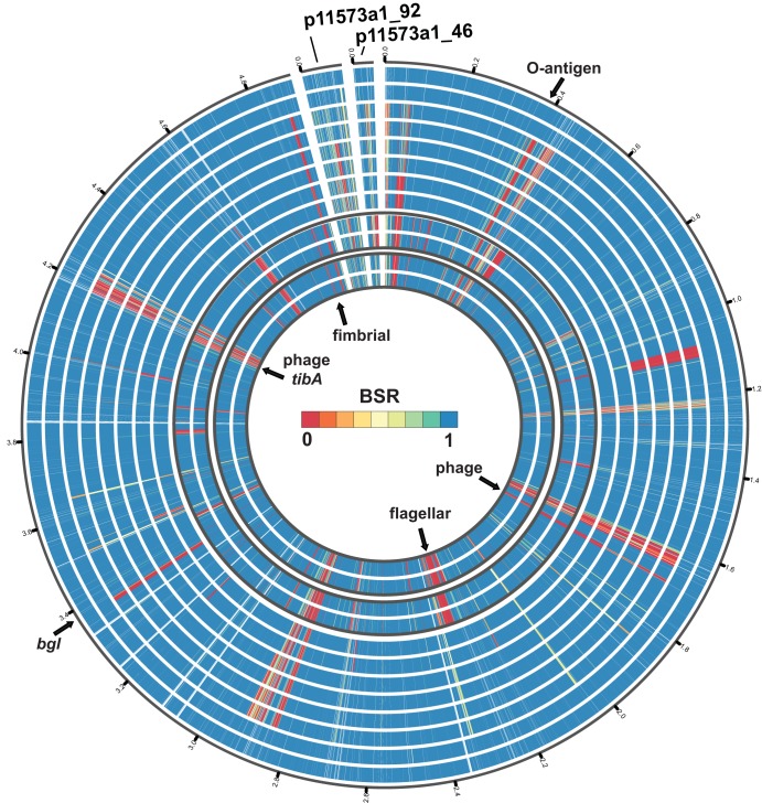 FIG 4