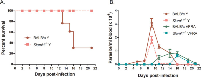 Fig 6