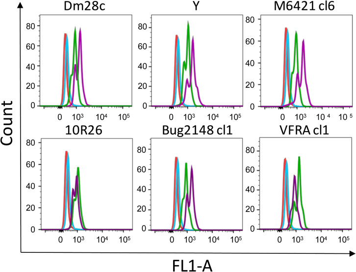 Fig 5