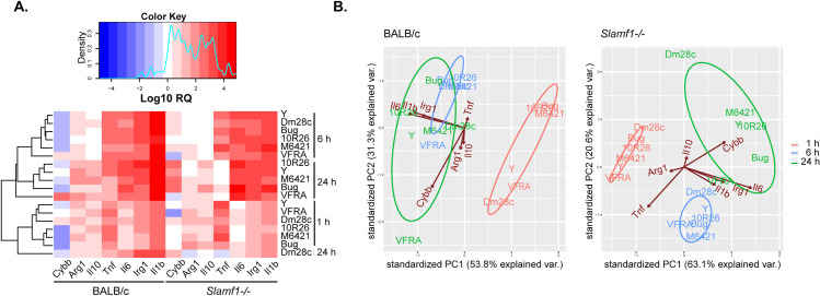 Fig 4