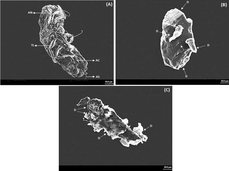 Figure 3