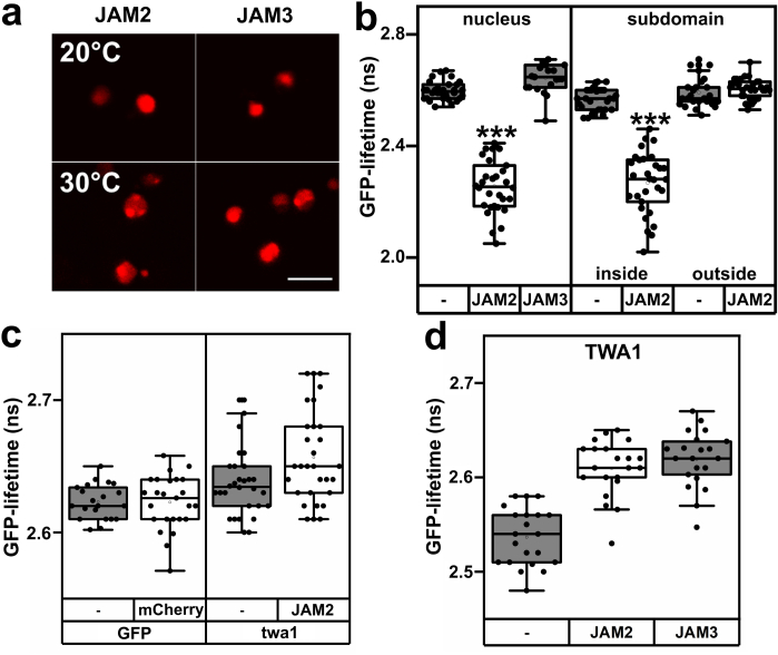 Extended Data Fig. 6