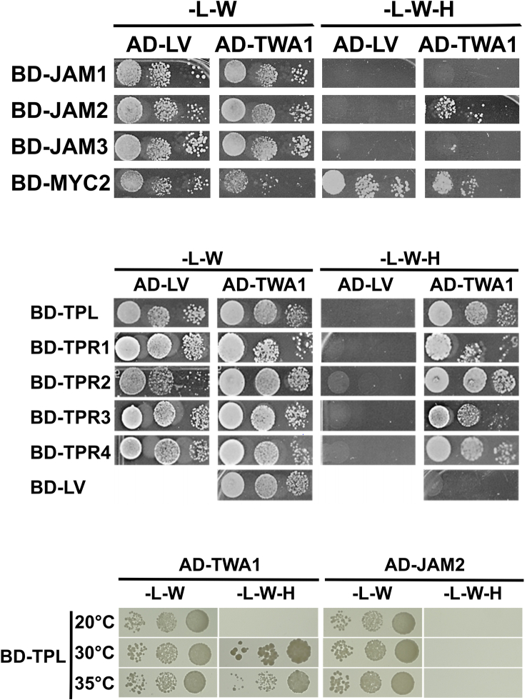 Extended Data Fig. 4