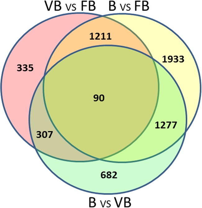 Fig 5