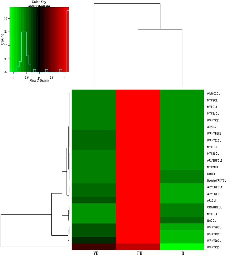 Fig 6